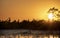 Sunset and cypress tree silhouette over Grand Prairie in the Okefenokee National Wildlife Refuge