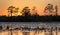 Sunset and cypress tree silhouette over Grand Prairie in the Okefenokee National Wildlife Refuge