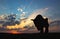 Sunset dawn sun rays over the city sky field statue bison sculpture silhouette