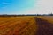 Almost Sunset and Deep Rich Colors of Farmland