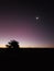 Sunset desert blue sky night sunrise atacama moon tree