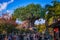 Sunset at Disney Animal kingdom tree of life view February 2022
