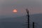 Sunset with distant hill and tree from Tristolicnik. Outdoor and landscape background. Sumava National Park and Bavarian Forest,