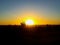 Sunset on distant horizon behind cactus in Mexico