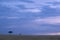 Sunset Drama at masai Mara National Park