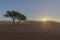 Sunset at dry arid country in the Namib Desert