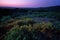 Sunset in the dunes of the coast of the island of Sardinia