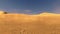 Sunset in a dunes with sand dust