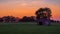 Sunset at a Dutch farm landscape near Zenderen The Netherlands