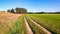 Sunset at a Dutch walking trail along lush green fields