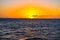 Sunset at Eagle Beach on Aruba island in the Caribbean, stunning colours on a blue water