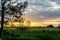 Sunset in the Everglades Through Grass Swamp