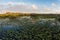 Sunset in Everglades National Park