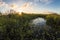Sunset in Everglades National Park