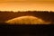 At sunset farmers irrigate fields because of the drought, crops waiting for the rain to come. Drenthe, the Netherlands