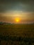 Sunset farming landscape photography background
