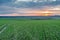 Sunset on the field dirt road clouds