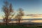 Sunset field with winter trees and distant mountain. Waikato, New Zealand