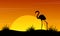 At sunset flamingo scenery silhouettes