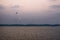 Sunset with flying birds at the Ashtamudi Lake, Kollam, Kerala, India