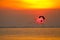 sunset flying birds and silhouette paramotor over sea and colorful red cloud on sky