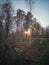 Sunset in a forest in Autumn. Swedish nature.