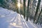 Sunset in the forest on Lubietovsky Vepor on Polana mountains