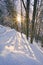 Sunset in the forest on Lubietovsky Vepor on Polana mountains