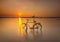 Sunset golden hours moment alone bike