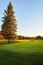 Sunset at the Golf Course - The sun sets on a putting green at the golf course in Autumn