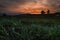 Sunset with grassland Thailand.