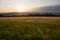 Sunset in Grassy Meadow