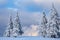 Sunset with heavily snowed trees, Pangarati Peak, Harghita, Transylvania, Romania, Europe