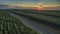 Sunset highway between eucalyptus plantation