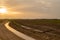 Sunset on the hills and a bed of palm trees in the Amboseli in K