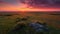 Sunset on the horizon over a vast landscape, grasslands national park, generative ai