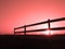 Sunset on a horse stable