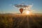 Sunset and a hot air balloon lands in canola in Alberta prairies