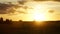 Sunset hyperlapse. Evening summer sun, field, grass, insects and running clouds.