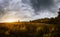 Sunset illuminates the autumn field and forest on a stormy thunder sky