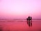 After sunset image of a beach with gentle pink purple sky color along with silhouette of a happy family with friends playing