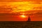 Sunset inspiration Sailboat Birds