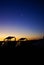 Sunset Jeeps & Moon