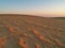 Sunset at Jockey`s Ridge State Park