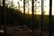 Sunset in Kisatchie National Forest Backbone Trail in Louisiana