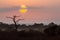Sunset in Kruger National park, South Africa