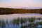 Sunset on the lake with beautiful pink skies. Reeds on the coast. Summer rural landscape