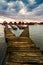 Sunset lake Bokod with pier and fishing wooden cottages