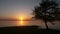 Sunset on the lake with a lone tree