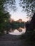 Sunset at a lake tree reflections night time beautiful